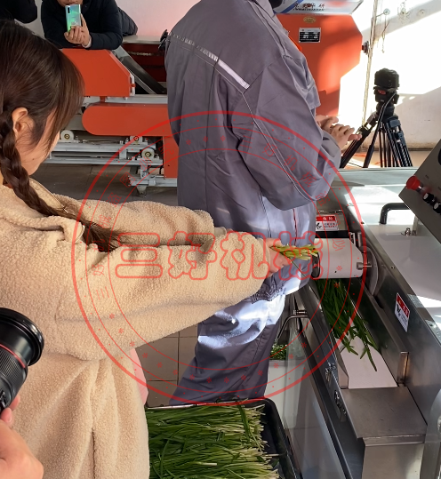 切菜機切菜效果 切菜機切菜效果