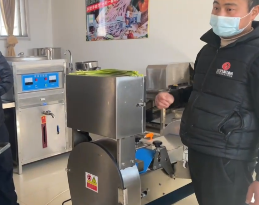 切菜機切菜效果 切菜機切菜效果