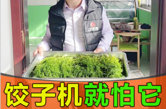 餃子機的缺點是什么 餃子機的缺點是什么