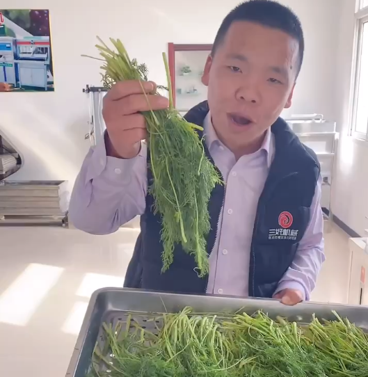 餃子機為什么做不了素餡 餃子機為什么做不了素餡