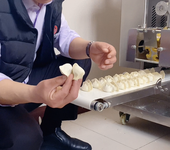 仿手工餃子機能做茴香餡嗎 仿手工餃子機能做茴香餡嗎