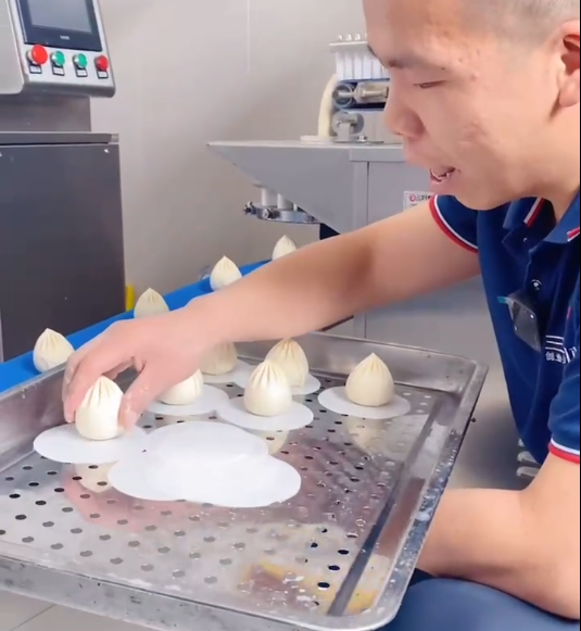 仿手工包子機制作老面包子 仿手工包子機制作老面包子