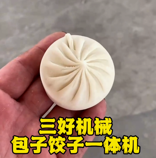 包子餃子一體機成型效果 包子餃子一體機成型效果
