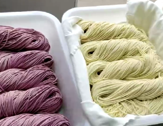 果蔬面條機 果蔬面條機