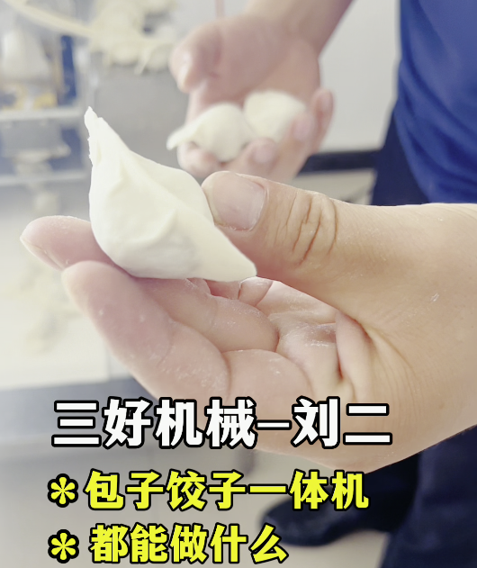 桌臺(tái)包子餃子一體機(jī) 桌臺(tái)包子餃子一體機(jī)